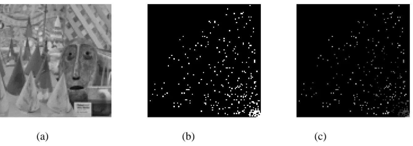 Figure 1.3 Dans (a), on montre une image saisie d’une camera, dans (b) une carte de 300  phosphène et dans (c) l’image (a) vue à partir des phosphènes visualisés dans (b)