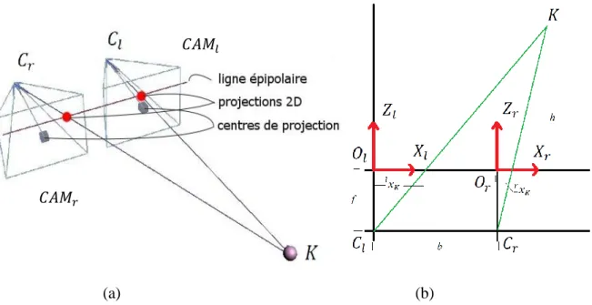 Figure 1.4 Système de stéréovision passive (a) et géométrie de la stéréovision passive (b)