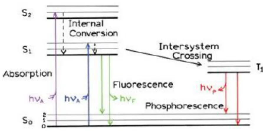 diagram in Figure 2-6, the electronic states of fluorophore molecules can be divided into the singlet  states and triplet states