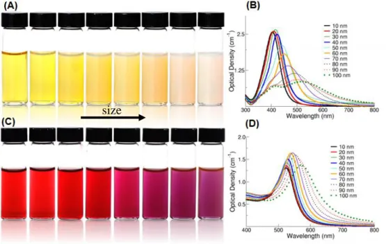 Figure 2-11. Colors change of various sized monodispersed (A) silver nanoparticles and (C) gold  nanoparticles