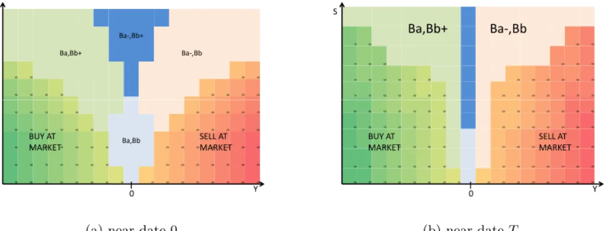 Figure 2.4: Stylized shape of the optimal policy sliced in YS.