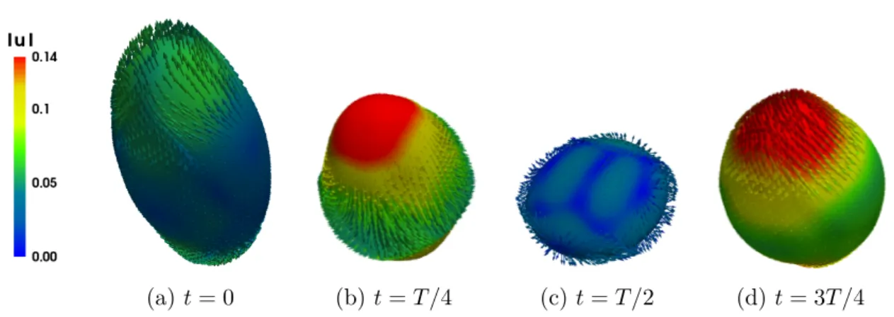 Figure 4.4 – Same as figure 4.3 but from a slightly different perspective and showing the outer bounding sphere and the velocity field in the outer fluid.