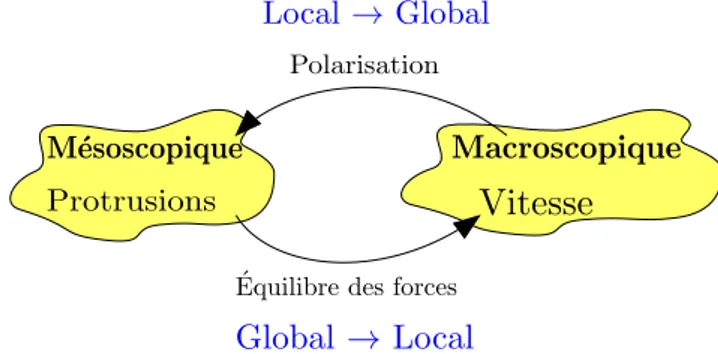 Figure 10 – Les échelles de description du modèle particulaire.