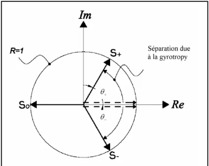 Figure 3-5: Diagramme de valeurs propres d’un circulateur idéal 