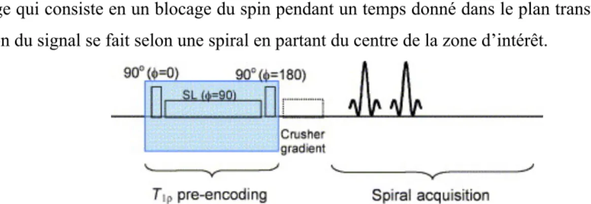Figure 2-7 : séquence d'acquisition du paramètre T1ρ, pré-encodage suivi d’une réception du  signal en spiral en partant du centre (Blumenkrantz et al., 2010) 