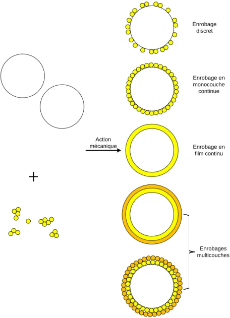 Figure 3.2 Représentation de produits obtenus par enrobage en voie sèche. Inspiré de (Ouab- (Ouab-bas et al., 2007)