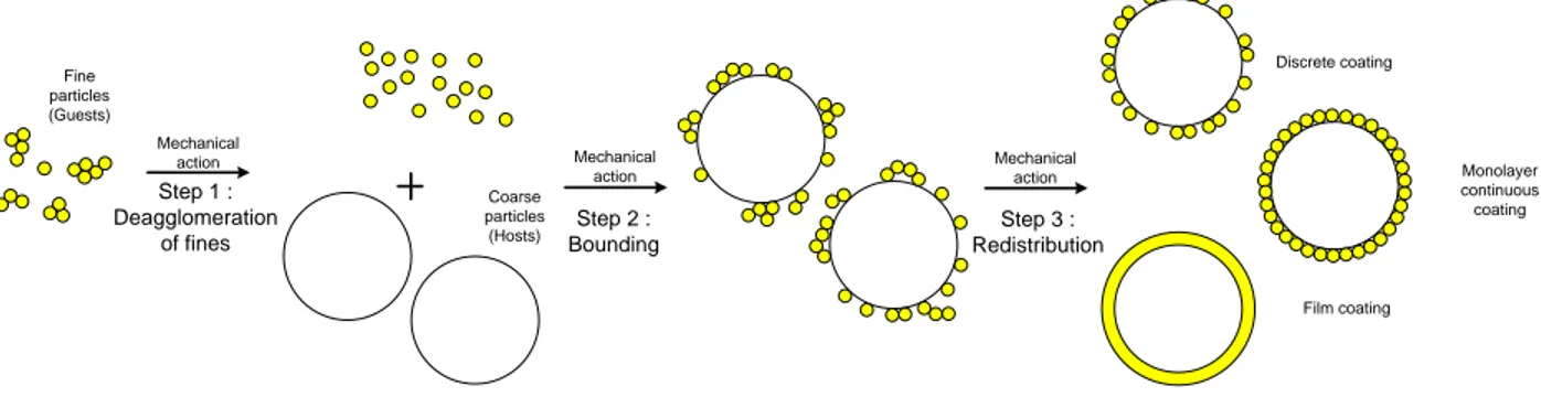 Figure 5.2 Dry coating mechanism in 3 steps