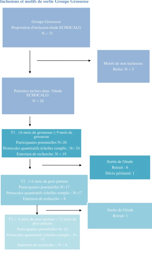 Figure 7 Inclusions et motifs de sortie Groupe Grossesse 