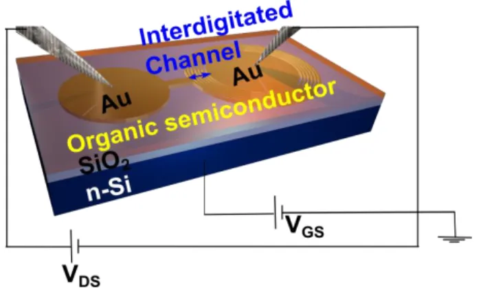 Figure  3-1  Bottom  contact-bottom  gate  (Si  (n + ))  transistor  substrate  with  interdigitated  pre- pre-patterned Au electrodes (30 nm thick) and SiO 2  (195 nm) gate dielectric coated with an organic 