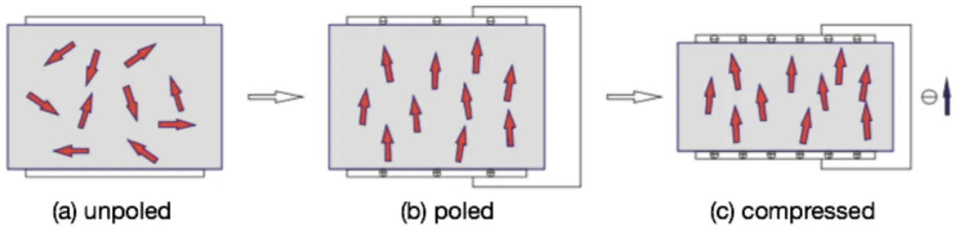 Figure 2.5: Illustration of the evolution of the piezoelectric effect from molecular dipoles in PVDF