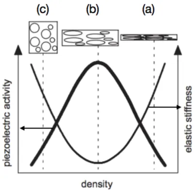 Figure 2.10: Schematic presentation of the correlation between the piezoelectric activity and elastic  stiffness of a cellular film as a function of sample density and cellular morphology, reprinted from  [26]