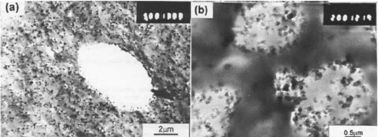 Figure  2.14. The effect of the viscosity of the PMMA phase in PP/PMMA(73/27): (a) high  viscosity PMMA, (b) low viscosity PMMA