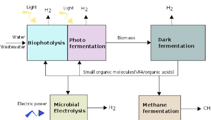 Figure 1.11: Int´ egration de plusieurs syst` emes artificiels ou issus de proc´ ed´ es biologiques pour produire du biohydrog` ene.