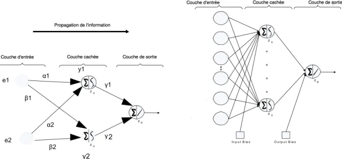 Figure 1.17: Assemblage d’un r´ eseau de neurone en trois couches. Les informations vont des cellules d’entr´ ees vers la couche de sortie