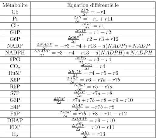 Table 2.4: ´ Equations diff´ erentielles ` a r´ esoudre pour d´ eterminer l’´ evolution dans le temps des concentrations des 19 m´ etabolites impliqu´ es dans le syst` eme