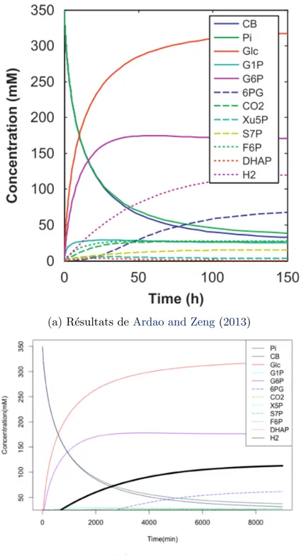 Figure 2.4: Comparaison de la cin´ etique des concentrations de diff´ erents m´ etabolites au cours du temps entre le mod` ele Ardao and Zeng et notre mod` ele .
