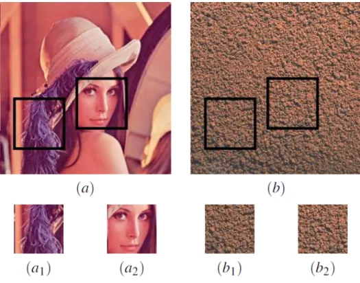 Figure 1.1 Différence entre une image et une texture. Si on déplace une fenêtre dans les images (a) et (b) les différentes régions de la texture (b) auront l’air similaires contrairement à celles de l’image (a)