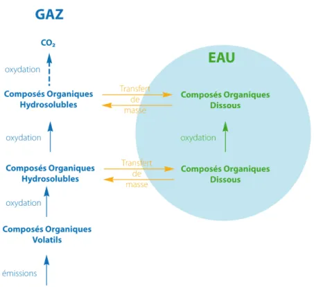 Figure II.1. – Représentation schématique de l’évolution des composés organiques en présence d’une phase aqueuse.