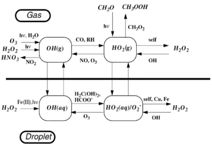 Figure II.11. – Réactivité de OH et HO 2 en phase aqueuse. D’après Jacob (2000).