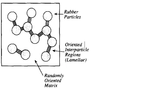 Figure 1.5 : Schéma d’un réseau des particules de caoutchouc reliées par les ligaments  cristallins de la matrice