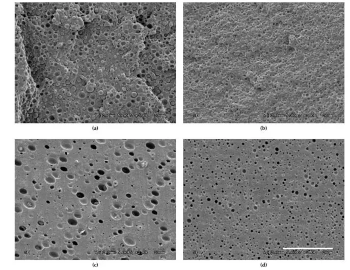 Figure  3.3A presents  the complex viscosity of the  neat materials  and of the non-compatibilized  and  compatibilized  15  wt  %  blends
