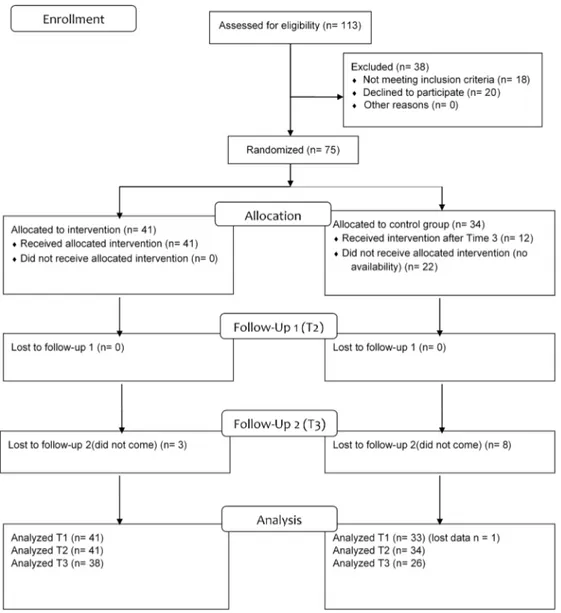 Figure 1. Flow diagram of the trial progress 