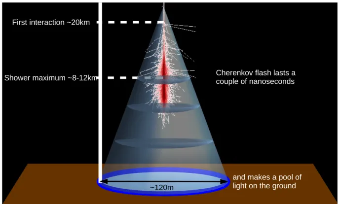 Figure 1.7: Maximum of shower development and first interaction point represented on a shower image