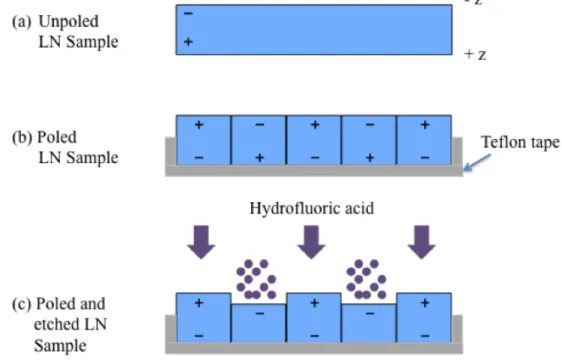 Figure 3-10: Schematic of revealing poled features in LN using HF etchant 