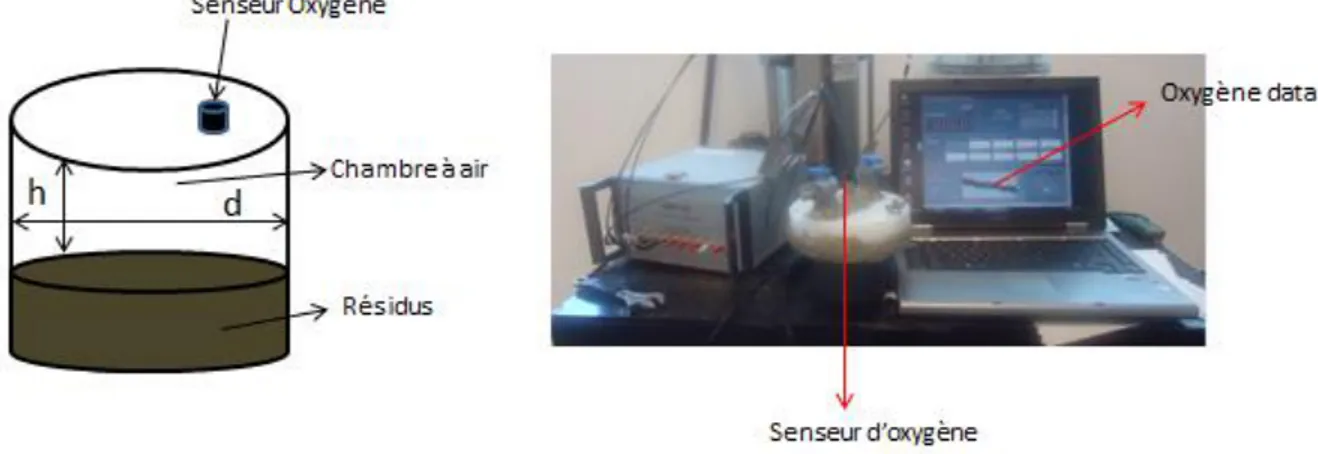 Figure 3-1 : Dispositif expérimental mis en œuvre pour les essais de consommation d'oxygène 