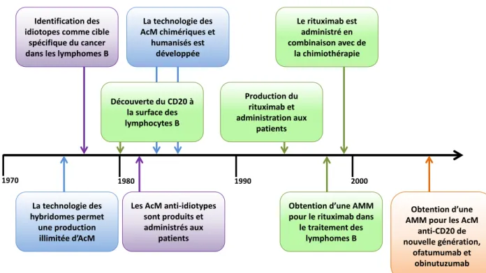 Figure 9. Histoire du développement des traitements thérapeutiques par AcM anti- anti-CD20
