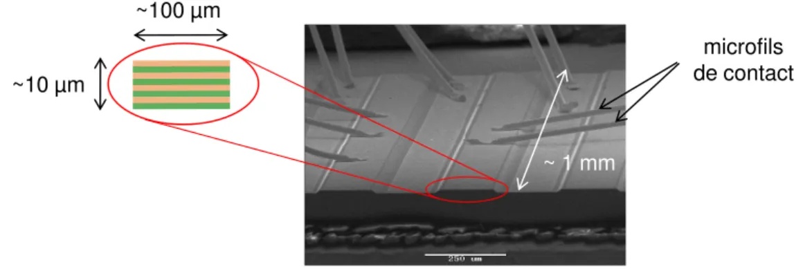 Figure 2.8 – Image au microscope électronique à balayage d’un LCQ clivé et contacté avec ses dimensions caractéristiques (les traits rouges mettent en évidence la facette du laser).