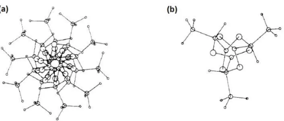 Figure 2-7. Projections perpendicular to the helical axis of a 10 3  helical conformation (a) and 3 1