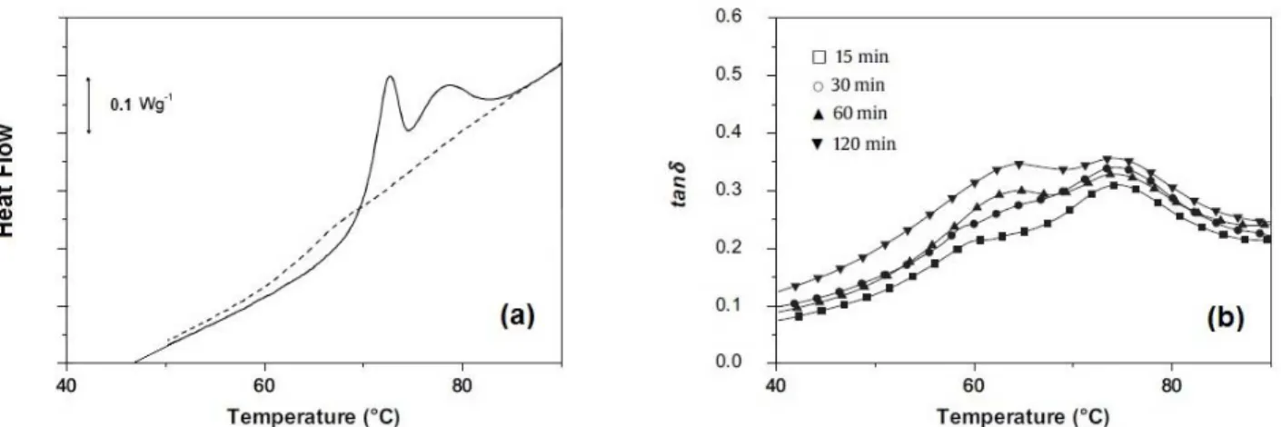 Figure 2-14. DSC thermogram obtained after an aging period at 45°C for 42 h (solid-line) and  the subsequent second heating (a) [40], DMA of PLLA isothermally conditioned at 50°C for 