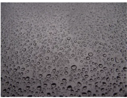 Figure 0.1 – Photographie de gouttes de pluie accroch´ees sur une paroi vitr´ee verticale