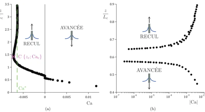 Figure 1.8 – Exemple de dynamique obtenue exp´erimentalement : hauteur z de la ligne de contact en fonction de la vitesse V de la ligne de contact par rapport `a la surface solide, en rep`eres lin´eaire (a) et  semi-logarithmique (b) 