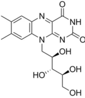 Figure 3 : structure de la riboflavine 