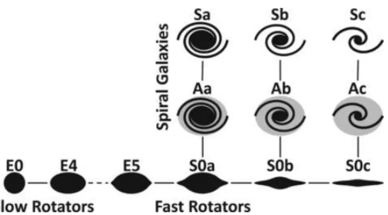 figure 1.6. Les galaxies de type précoce sont séparées en deux catégories : les rotateurs lents et les rotateurs rapides ; elles sont représentées de profil sur le schéma