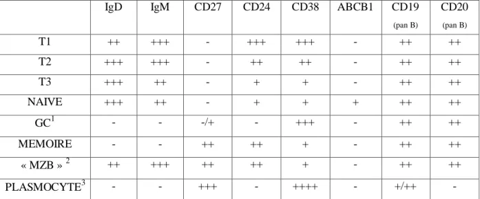 Tableau 2 : Phénotype de surface des principales populations B périphériques chez  l’homme