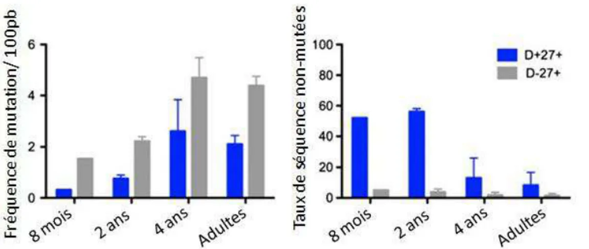 Figure 9 : Ontogénie  des  mutations  somatiques  des populations IgD +  CD27 +    et IgD -  CD27 + de la rate chez  l’homme