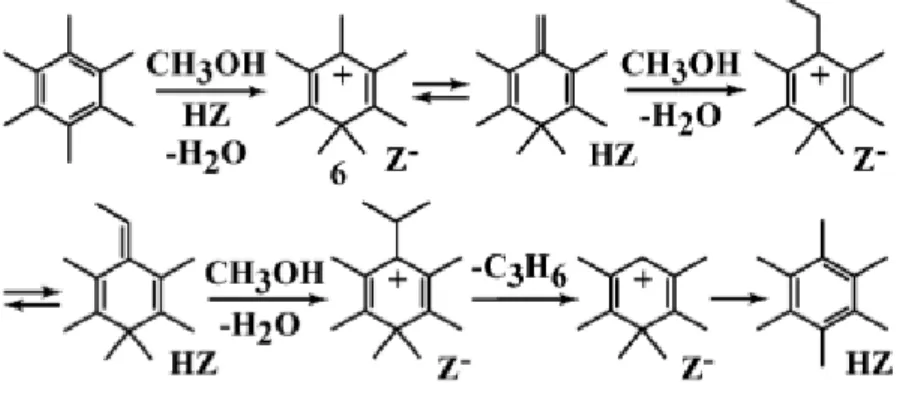 FIGURE 1.9 Mécanisme de méthylation exocyclique proposé par Haw et al. (45) pour la formation du propylène