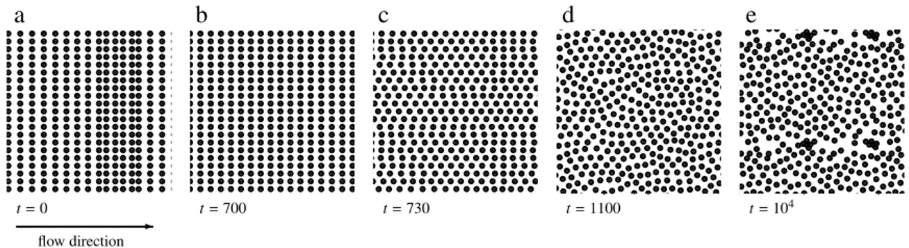Figure 1.11: Images extraites de [ 26 ]. Simulation numérique de l’évolution d’un cristal quasi-2D infini dans une cellule de Hele-Shaw