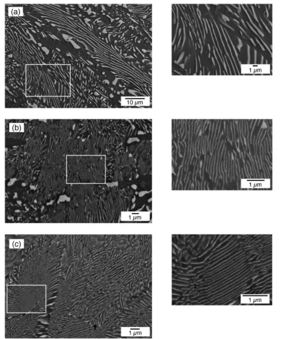 Figure  1.7 : Microstructure of transformed Pb 2 Sb 6 Te 11  to PbTe and Sb 2 Te 3  lamellae by annealing