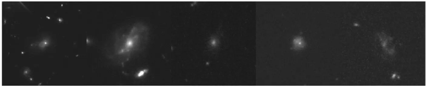 Figure 1.3 – Exemples de galaxies avec des disques qui semblent à faible brillance de surface, identifiées visuellement dans le champ Hubble Ultra Deep Field