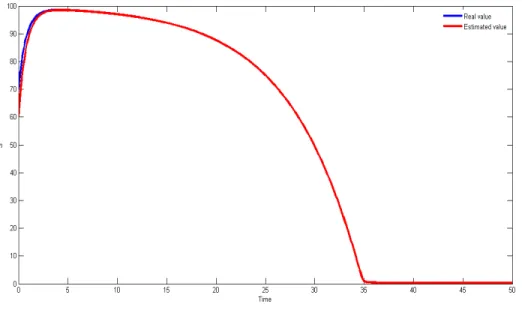 Figure 3.6: Estimation of substrate-Constant D