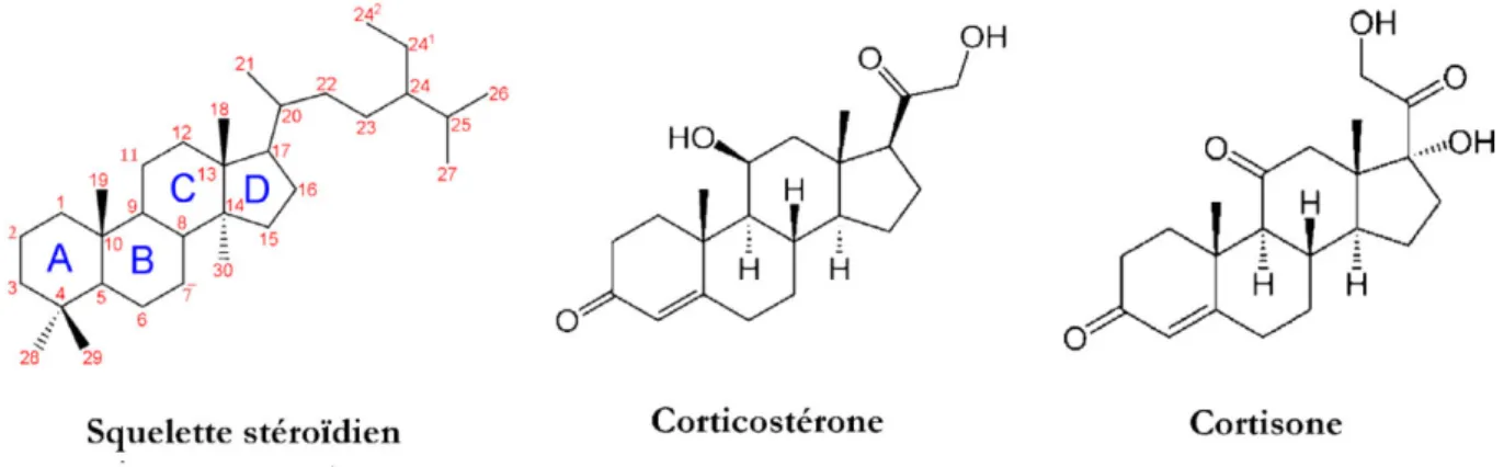 Figure 1: Structure chimique des corticostéroïdes.  (F.Chast. 2013 doi: 10.1016/j).