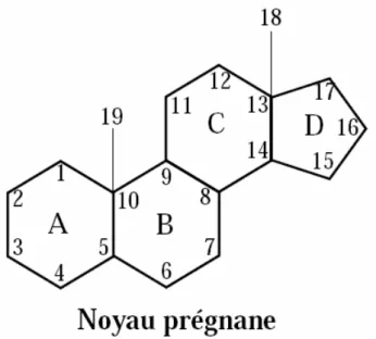 Figure 5 : Structure chimique simplifiée  du prégnane, le noyau de base des stéroïdes,  formé de 18 atomes de carbone