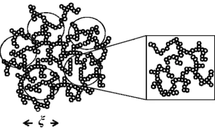 Figure 2-4: Schematic structure of a colloidal gel. The circles show the fractal flocs with the radius of 