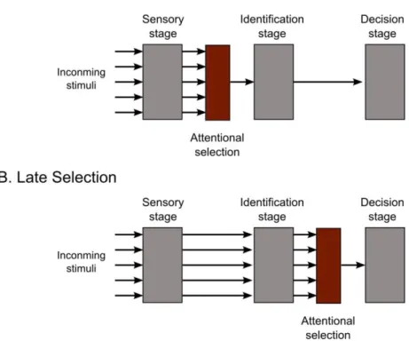 Figure  1.  Schematic  diagrams  depicting  two  different  accounts  of  attentional  selection  (red  rectangles)  in  the 
