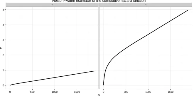 Figure 3.9: Nelson-Aalen non-parametric estimator of the cumulative hazard functions H ± .