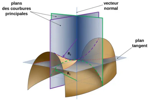 Figure 2.4 – Représentation d’une surface et de ses deux courbures principales. Figure adaptée à partir d’une image réalisée par Eric Gaba pour https ://fr.wikipedia.org/wiki/Courbure